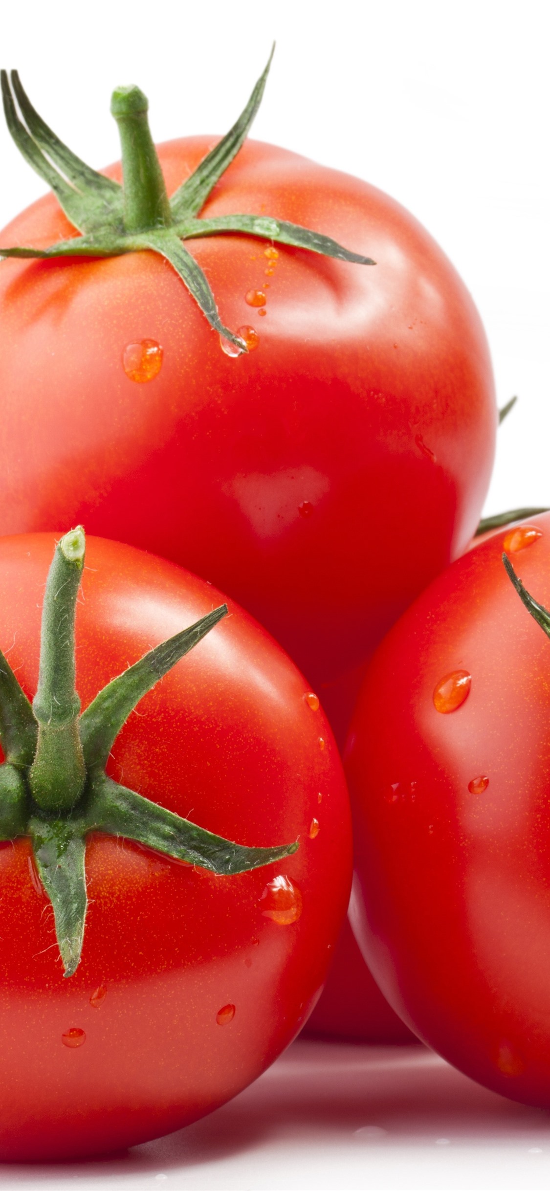 Tomatoes 2.3 Download